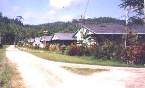 Typical PNG Health Centre